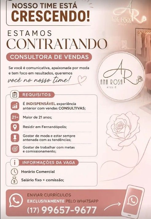 CONSULTORA DE VENDAS